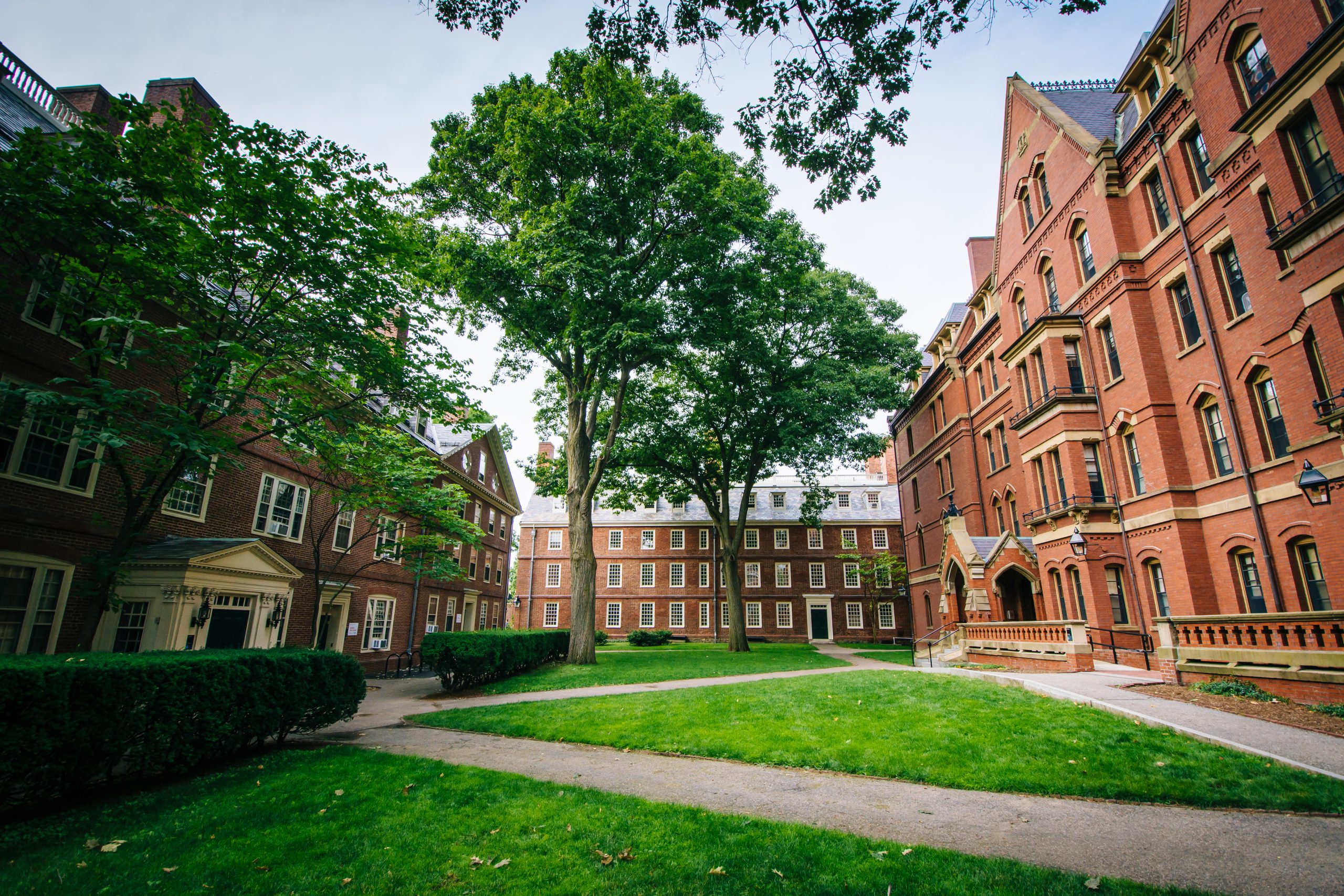 4 scaled Universidade de Harvard: a mais antiga instituição de ensino superior dos EUA